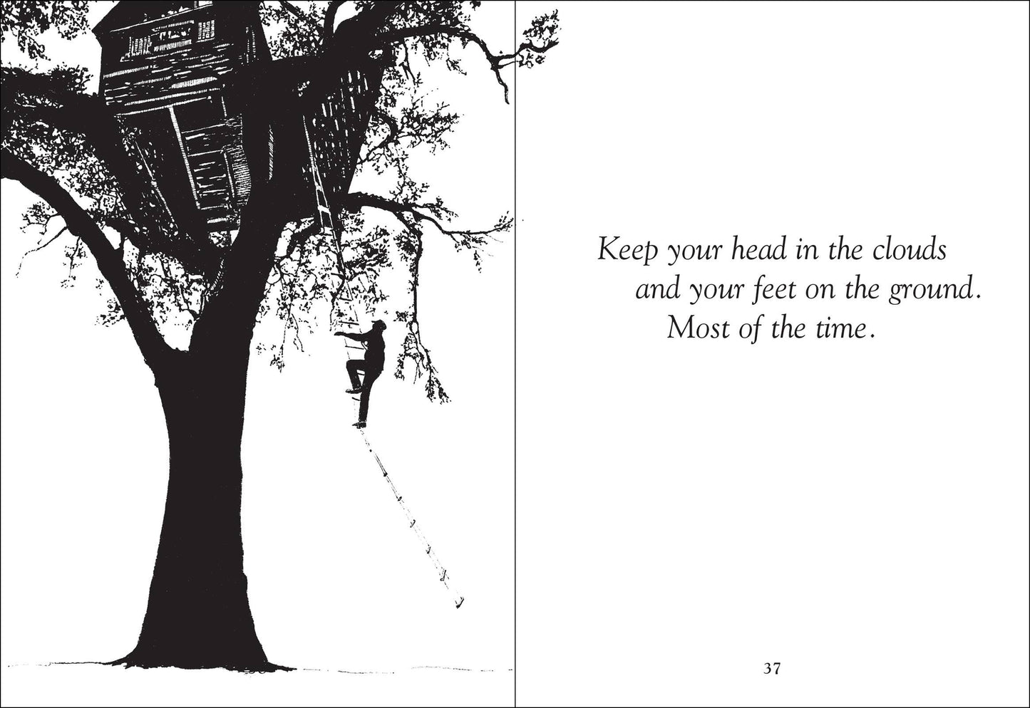 Things Trees Know