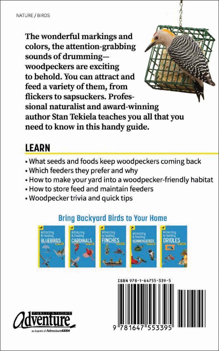 Attracting & Feeding Woodpeckers
