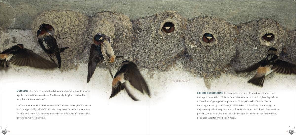 Bird Nests: A Coffee Table Book by Stan Tekeila