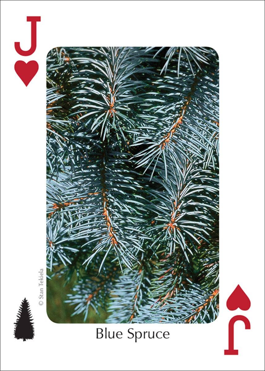 Trees of Northwest Playing Cards