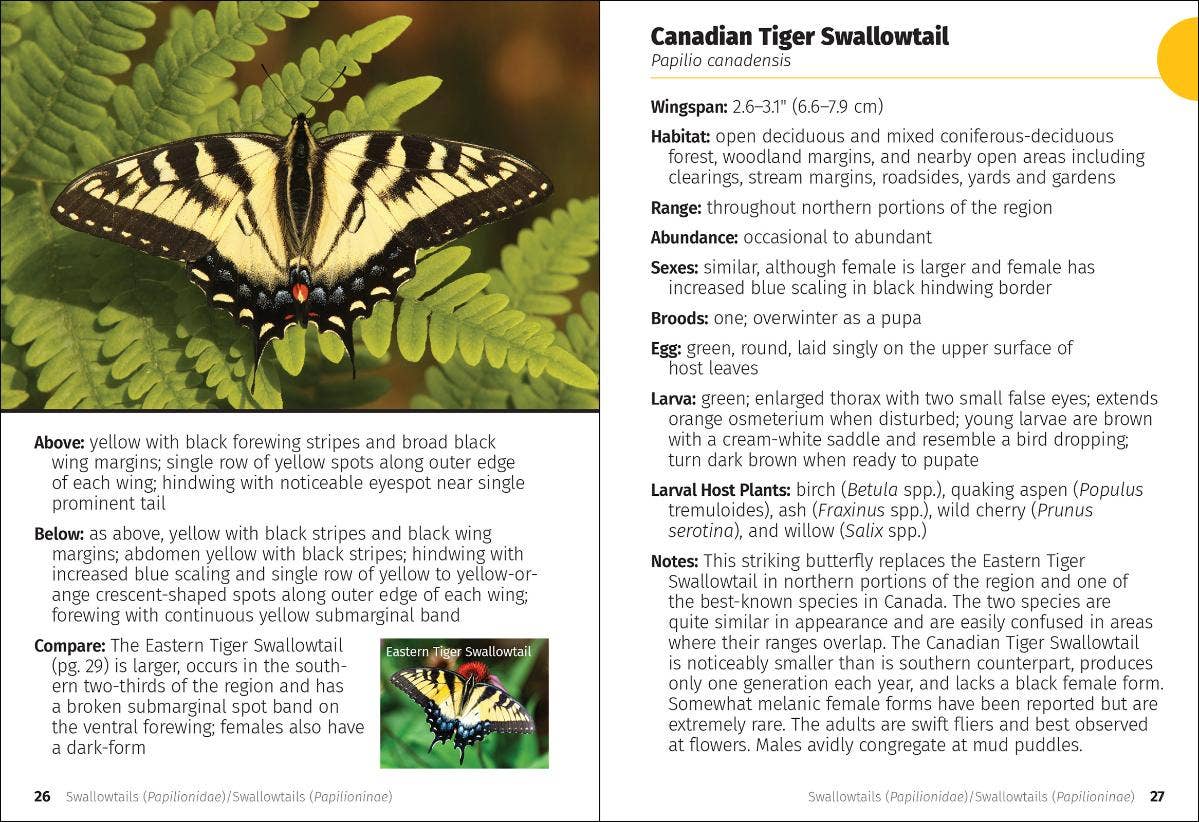 Butterflies of the Midwest Field Guide