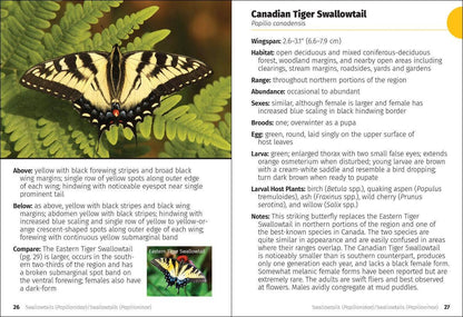 Butterflies of the Midwest Field Guide