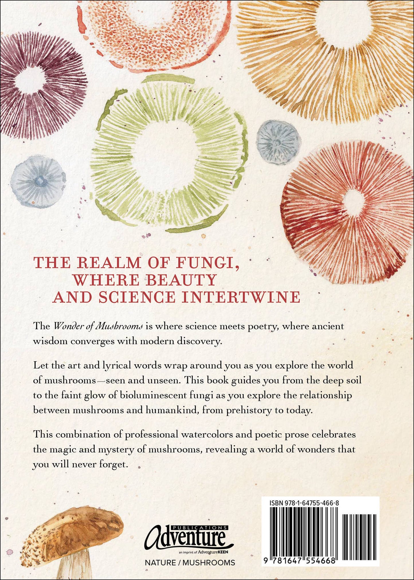 Wonder of Mushrooms