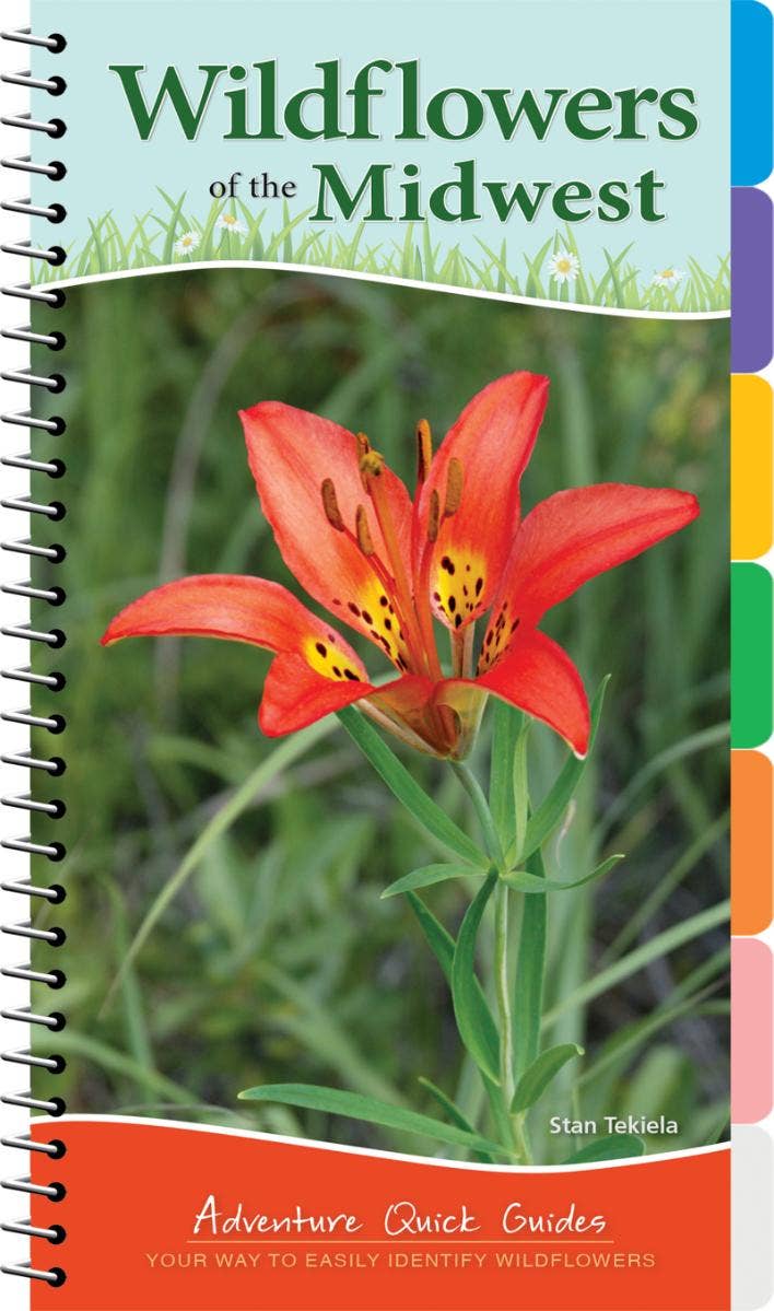 Wildflowers of Midwest Quick Guide