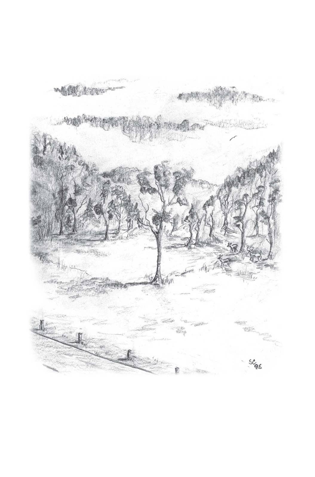 A Look at Life from a Deer Stand (Milano Softone)