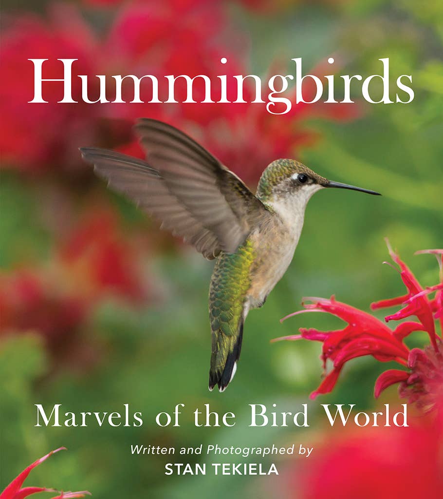 Hummingbirds: Marvels of the Bird World