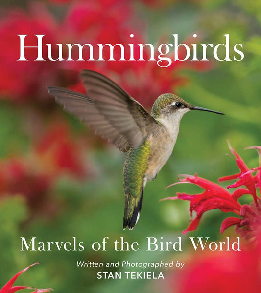 Hummingbirds: Marvels of the Bird World