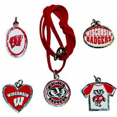Wisconsin Badgers Jewelry Assorted Suede Necklace