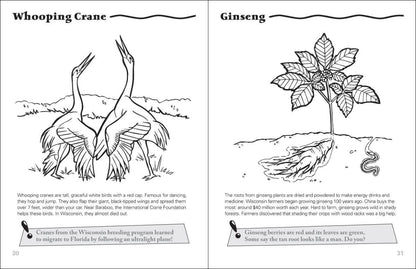 Wisconsin Activity Book