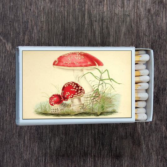 Matches • Mushroom Toadstool • Home Decor for Candles