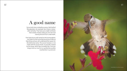 Hummingbirds: Marvels of the Bird World