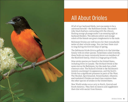 Attracting & Feeding Orioles