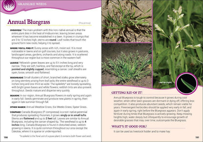 Common Backyard Weeds of the Upper Midwest