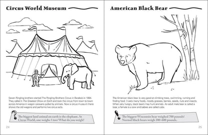 Wisconsin Activity Book