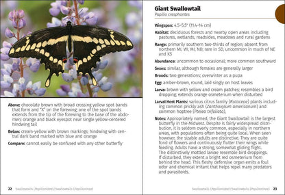 Butterflies of the Midwest Field Guide