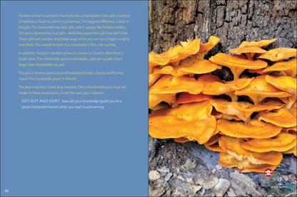Start Mushrooming 2e