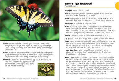 Butterflies of the Midwest Field Guide