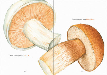 Wonder of Mushrooms