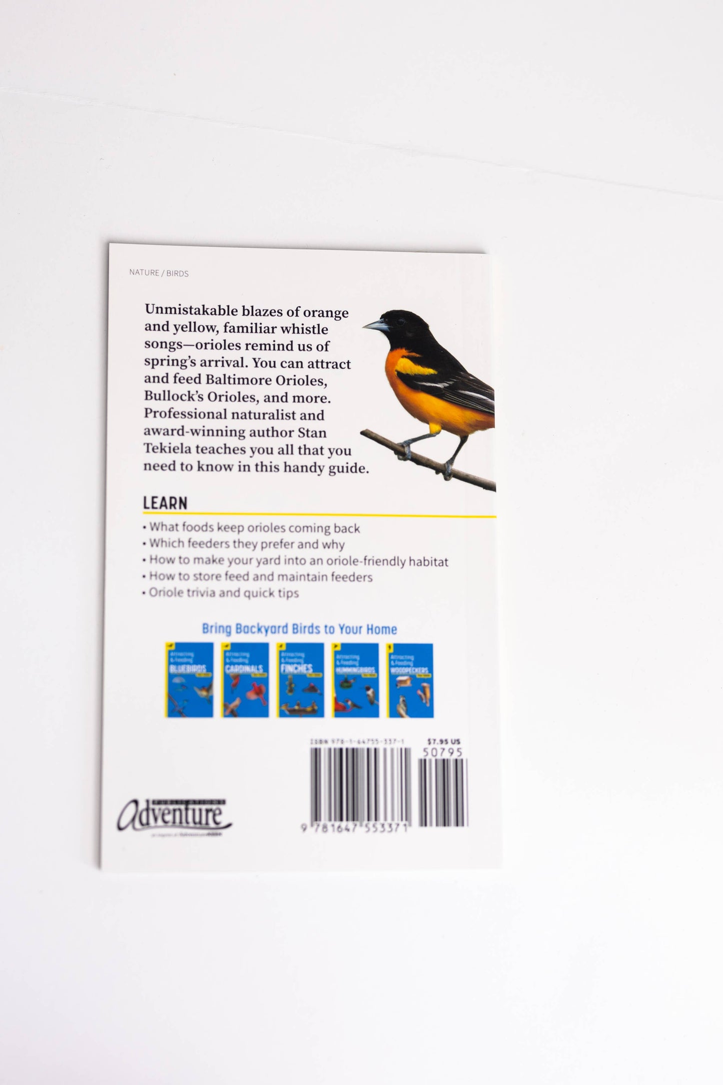 Attracting & Feeding Orioles