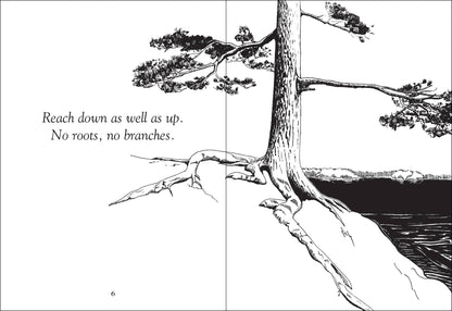 Things Trees Know