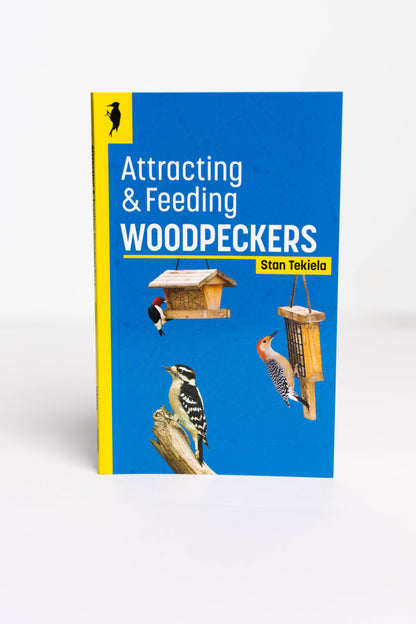 Attracting & Feeding Woodpeckers