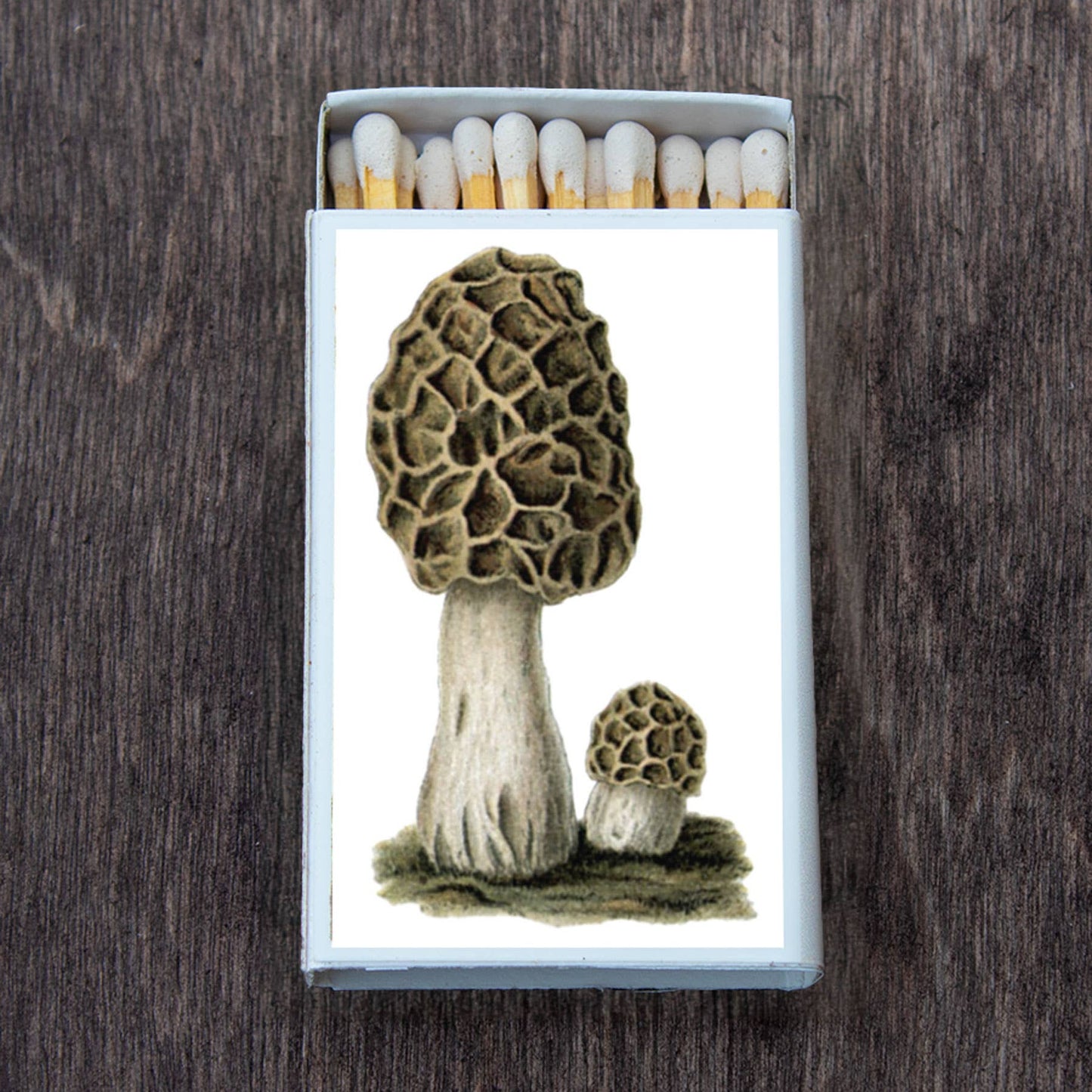 Matches • Mushroom Morchel • Home Decor for Candles