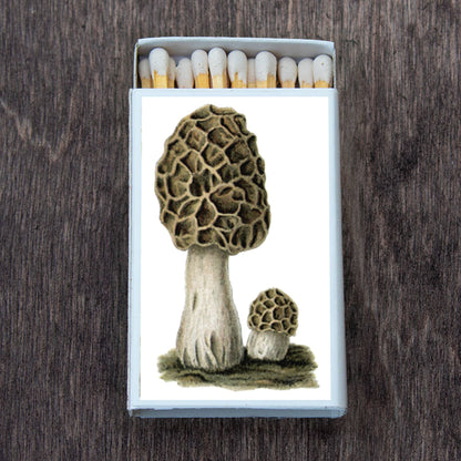 Matches • Mushroom Morchel • Home Decor for Candles