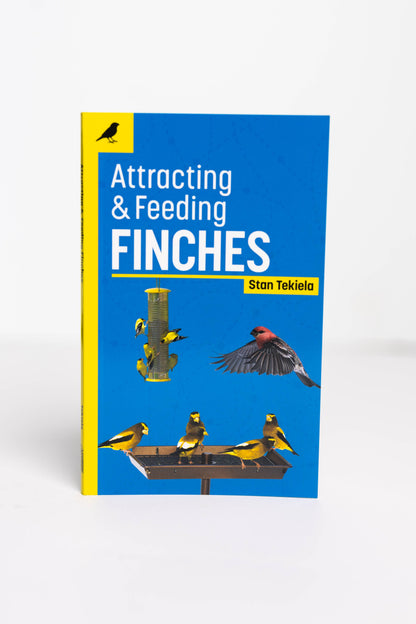Attracting & Feeding Finches