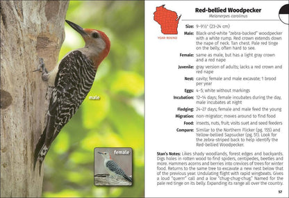 Birds of Wisconsin Field Guide 3e