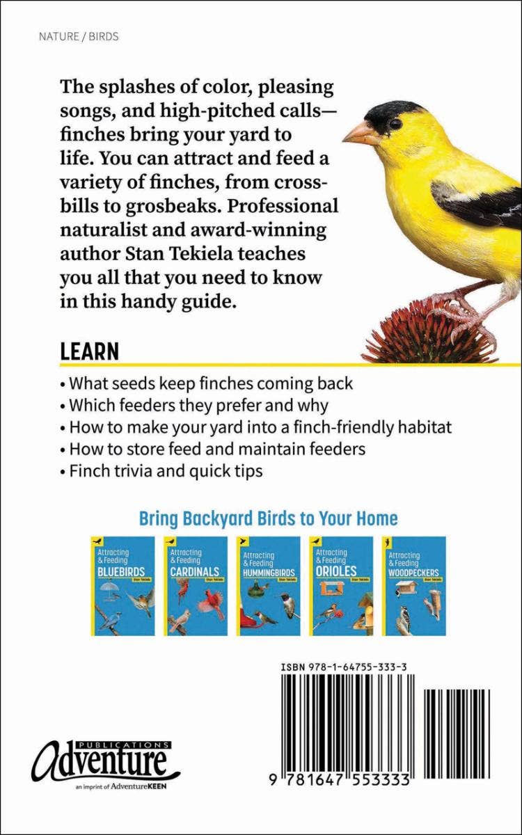 Attracting & Feeding Finches