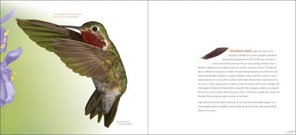Feathers - A Coffee Table Book by Stan Tekeila