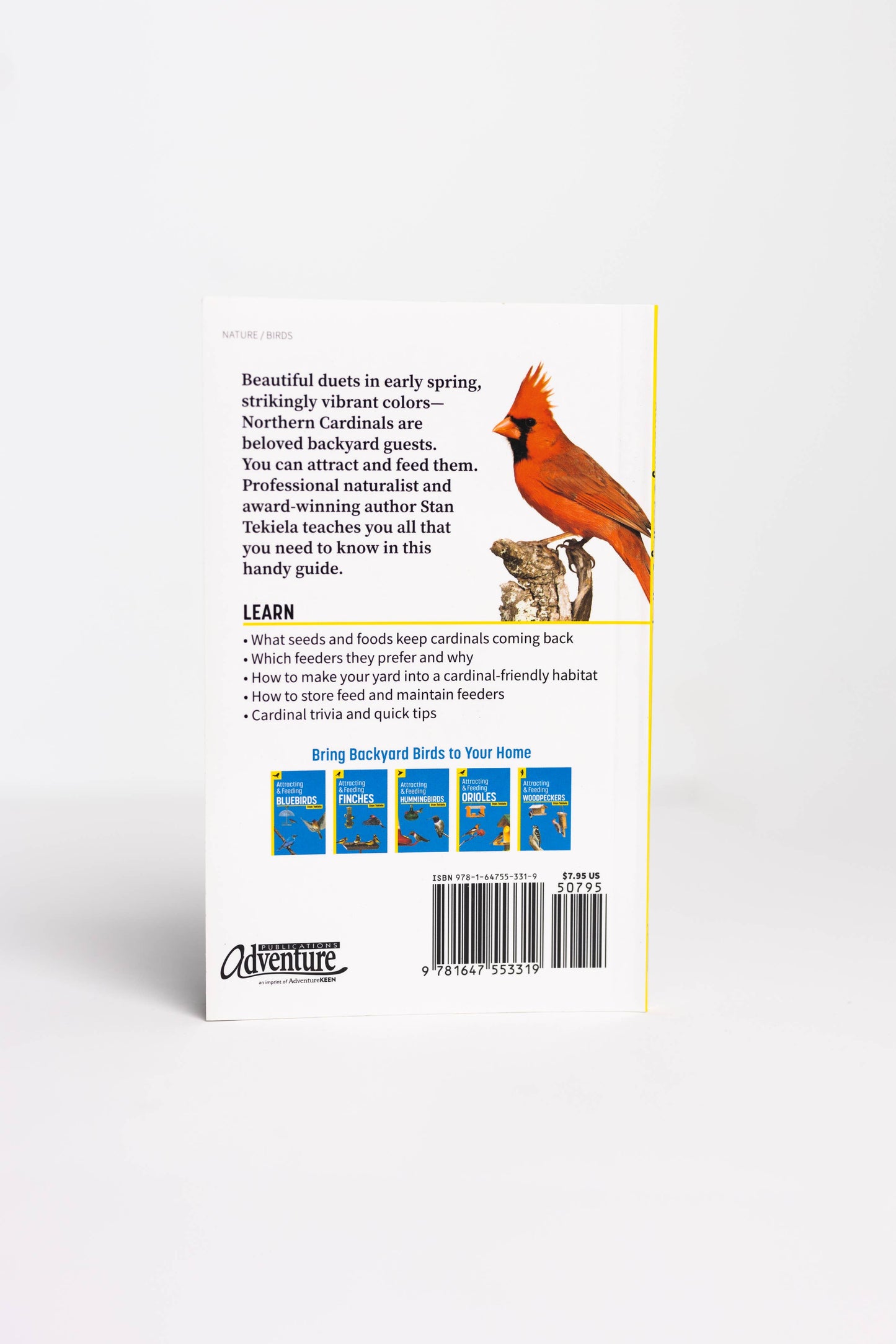 Attracting & Feeding Cardinals