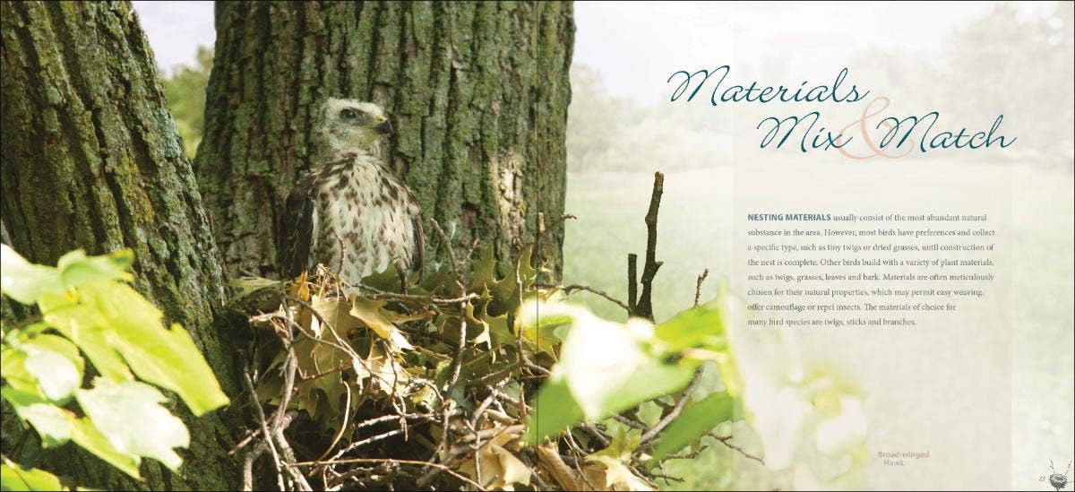 Bird Nests: A Coffee Table Book by Stan Tekeila