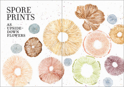 Wonder of Mushrooms