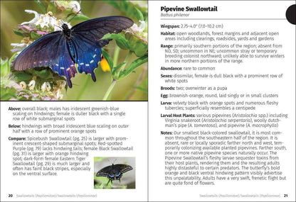 Butterflies of the Midwest Field Guide