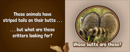 Whose Butt?