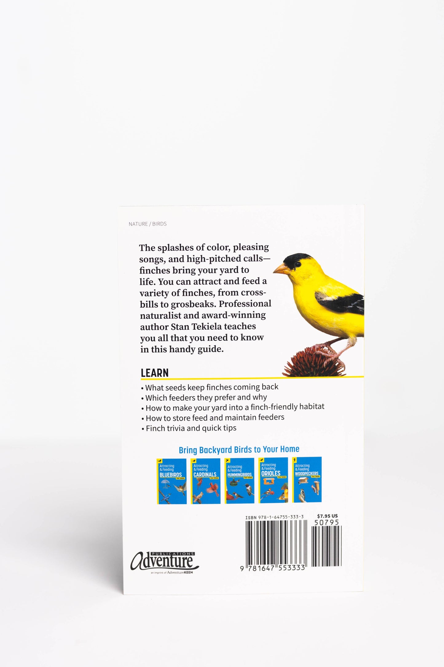 Attracting & Feeding Finches
