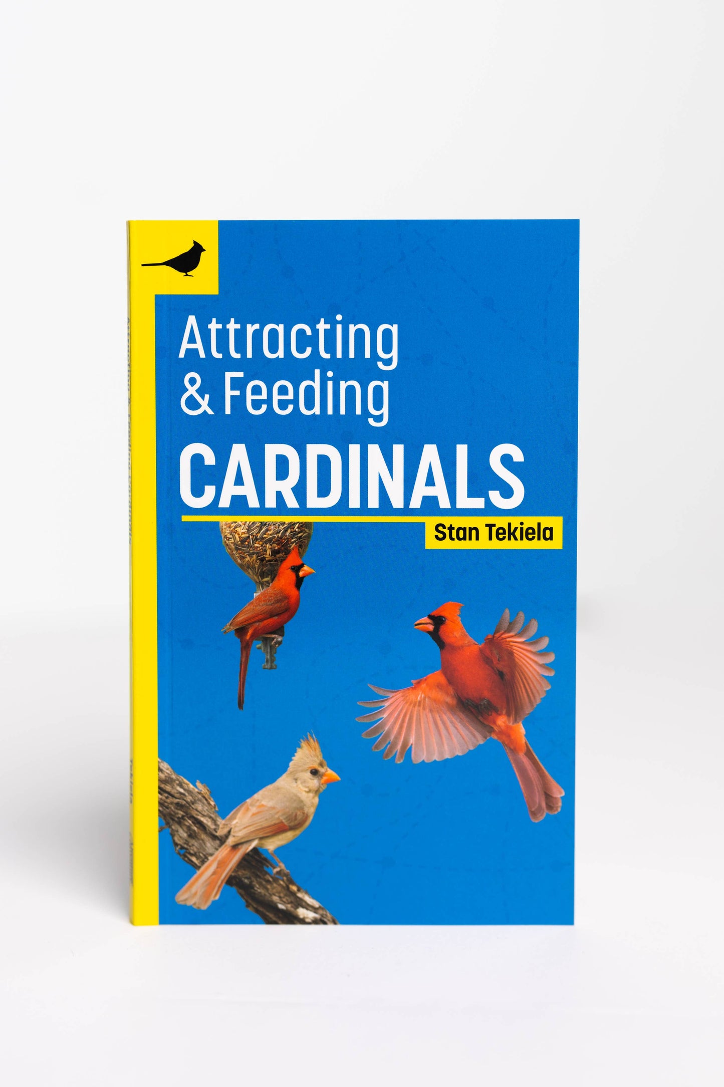 Attracting & Feeding Cardinals