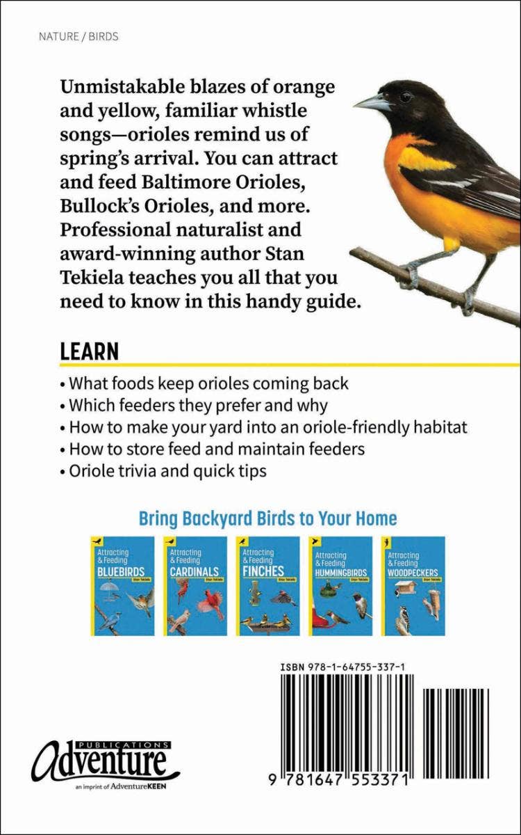 Attracting & Feeding Orioles