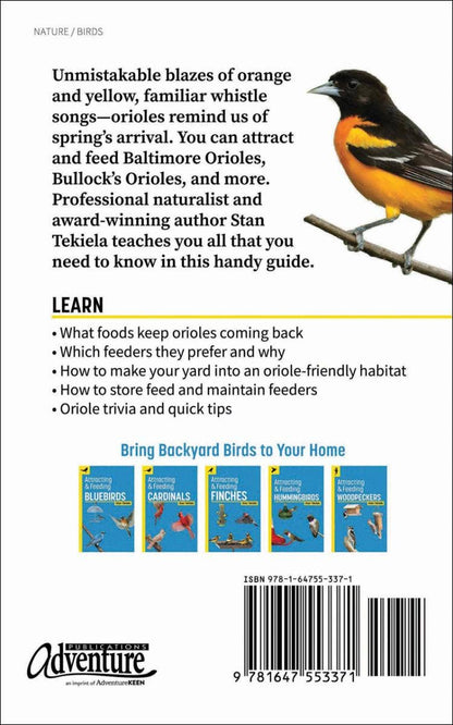 Attracting & Feeding Orioles