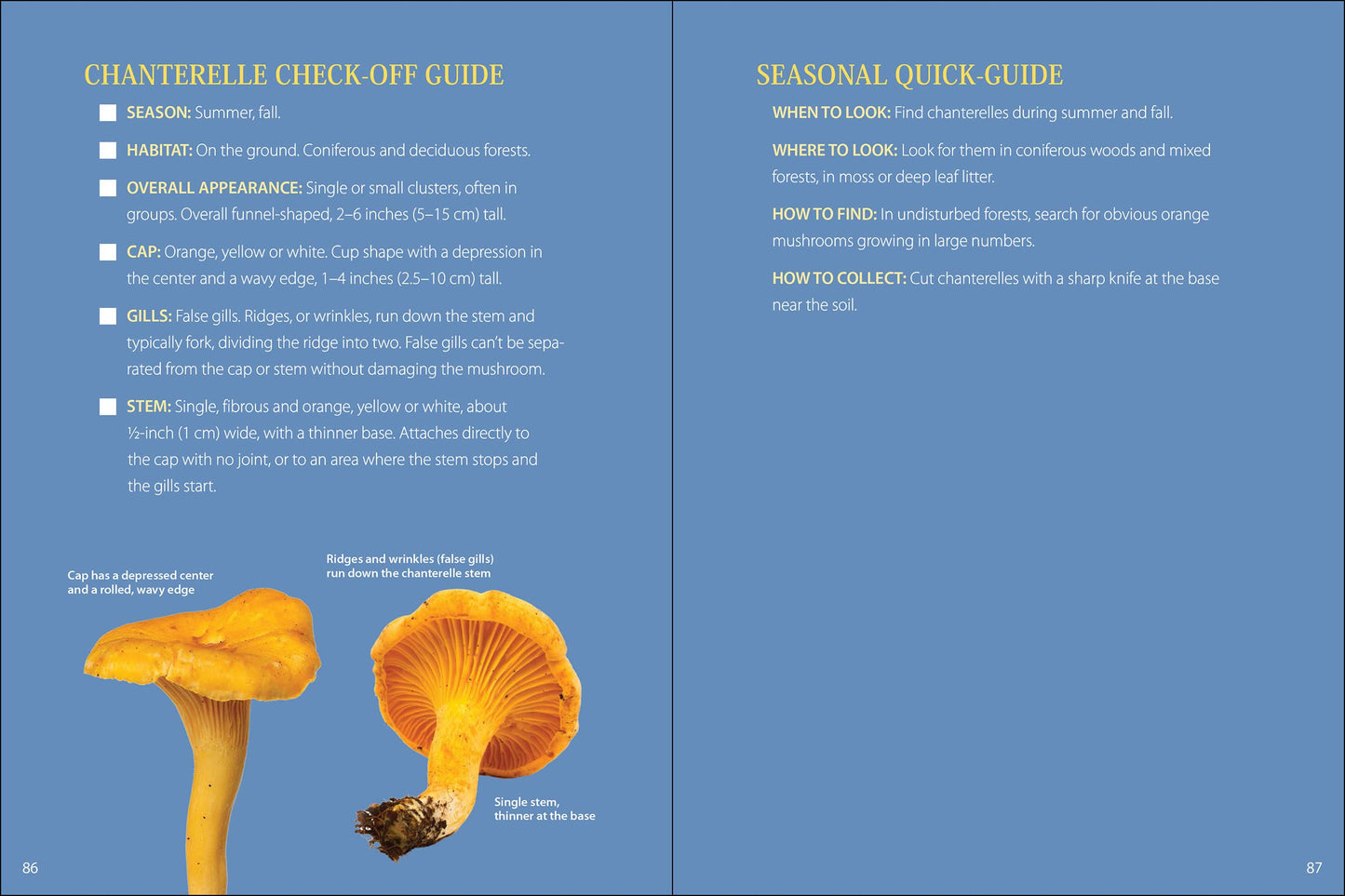 Start Mushrooming 2e