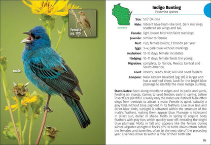 Birds of Wisconsin Field Guide 3e