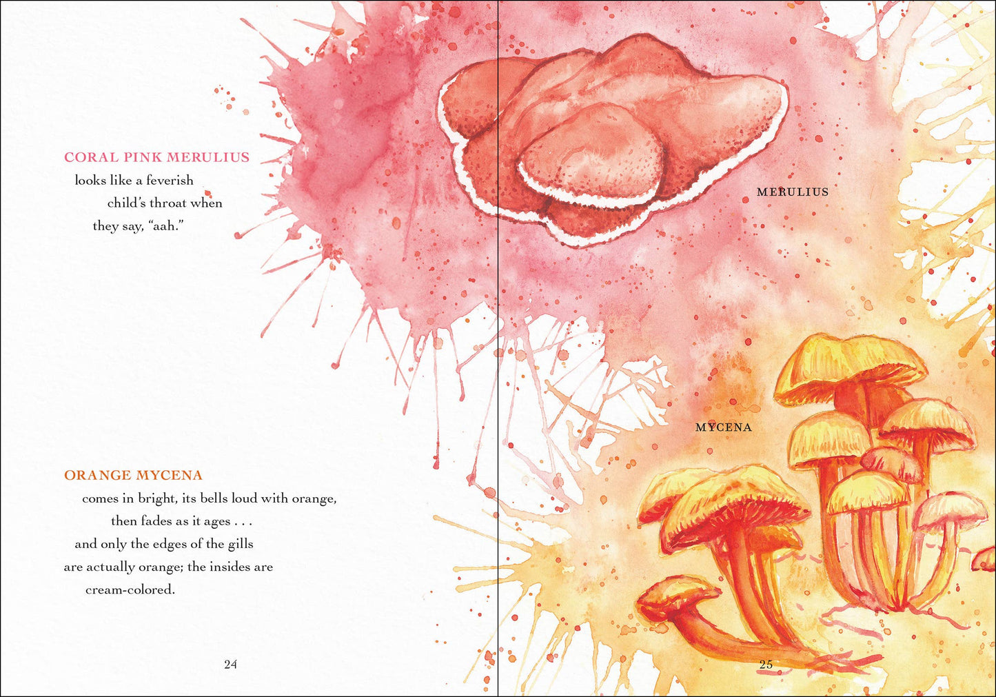 Wonder of Mushrooms