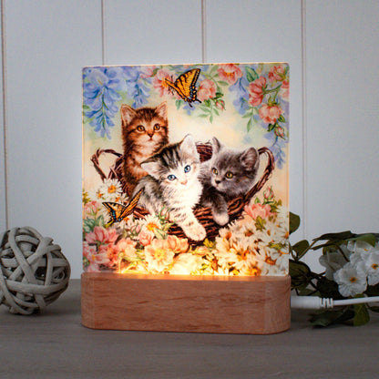Kittens in the Garden LED Nightlight