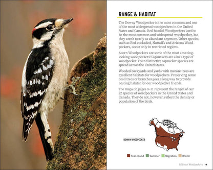 Attracting & Feeding Woodpeckers