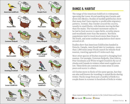 Attracting & Feeding Finches