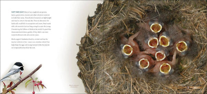 Bird Nests: A Coffee Table Book by Stan Tekeila