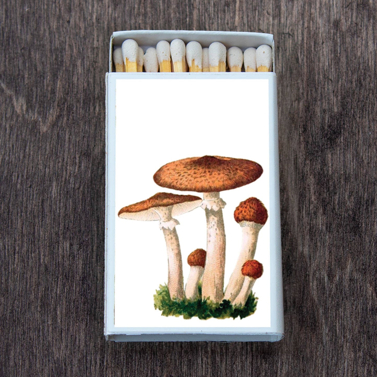 Matches • Mushroom Cluster • Home Decor for Candles