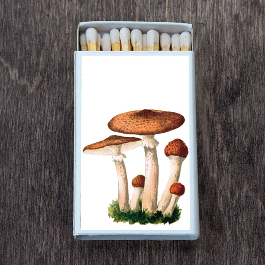 Matches • Mushroom Cluster • Home Decor for Candles