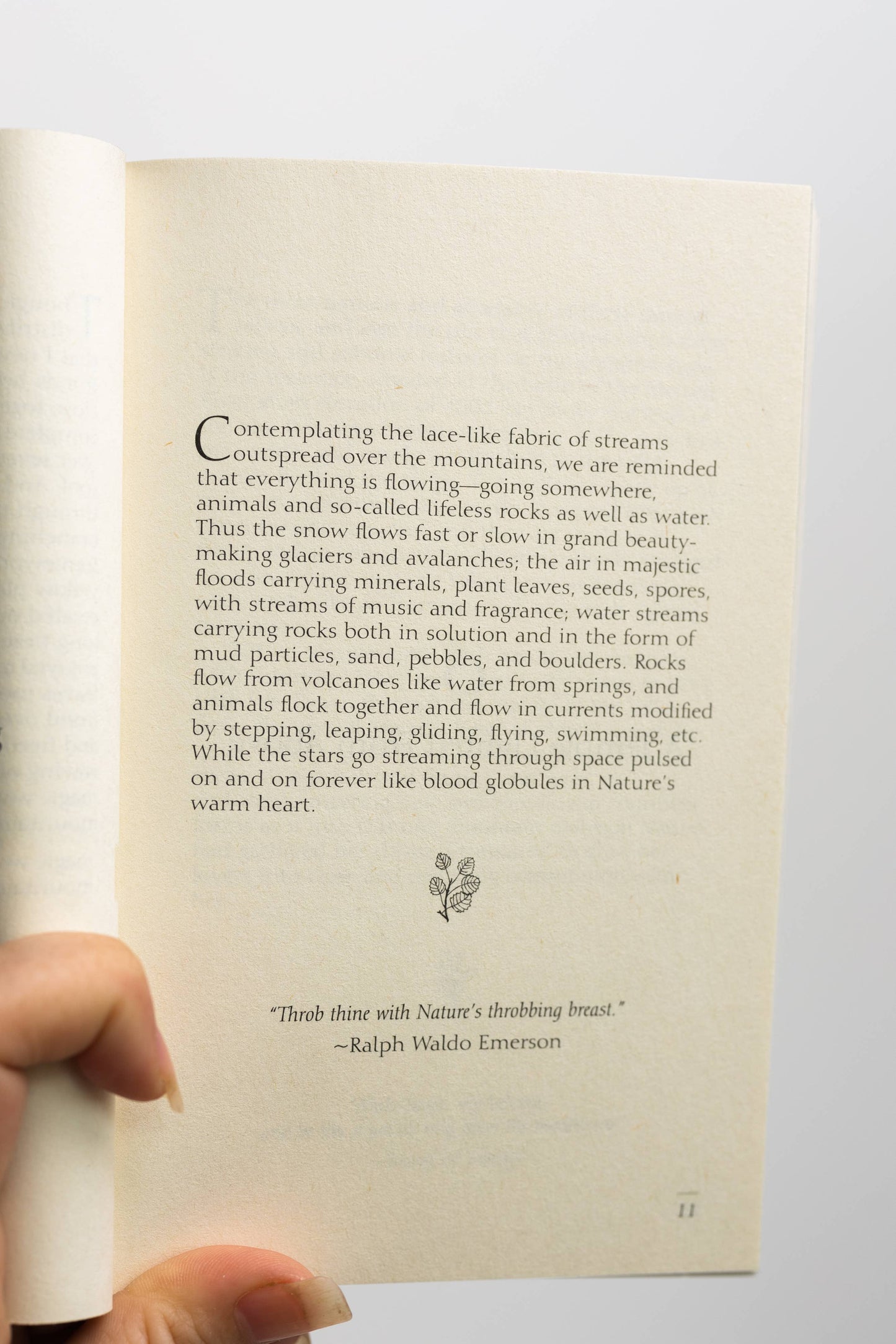 Meditations of John Muir